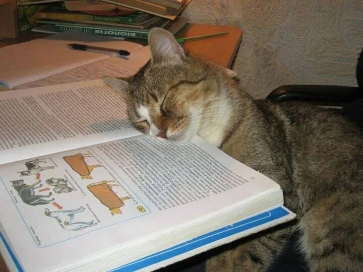 Ученик за партой рисунок. Что мешает хорошо учиться. Слушаем внимательно работаем старательно. Усердно работать. Учись не мешаю.