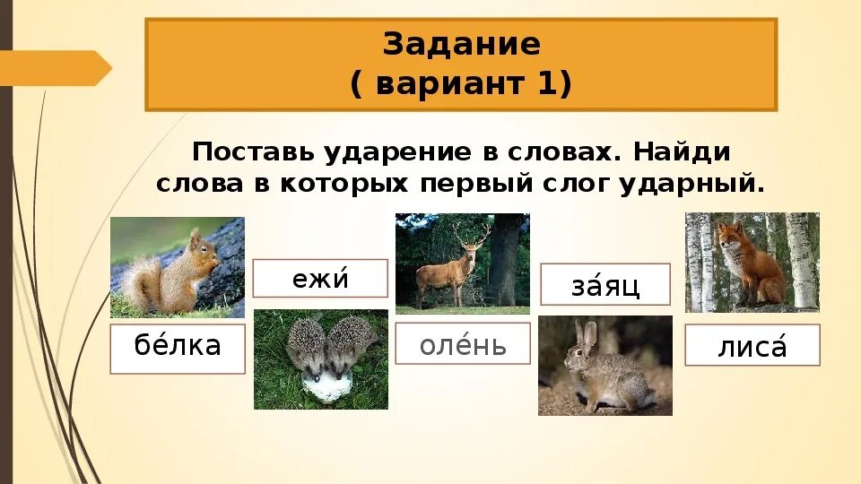 Зайцев ударение в слове. Лиса ударение. Заяц ударение. Лисички ударение 1 класс. Лиса куда падает ударение.