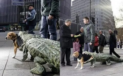Собака крокодил