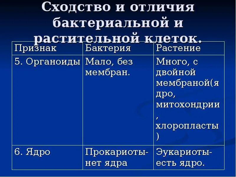 Сходство и различие клеток растений. Клетка бактерии и растения сходство и различие. Растительная и бактериальная клетка сходства и различия. Сходство растительной и бактериальной клетки. Сходства и различия бактерии и растительной клетки.