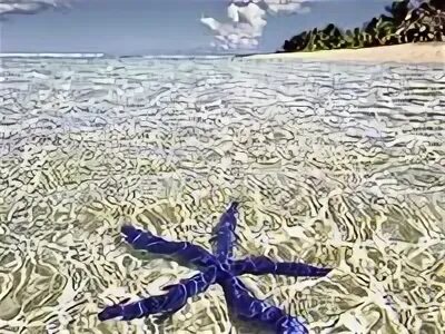 Sea ideas
