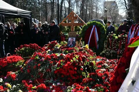 На каком участке похоронили ширвиндта