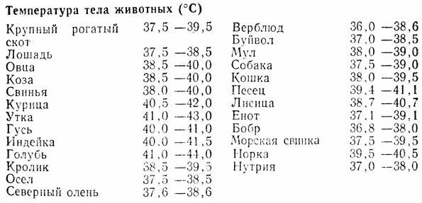 Температура тела разных животных. Нормальная температура тела у животных. температура тела у животных таблица нормальная. температура животных в норме таблица. температура тела домашних животных.