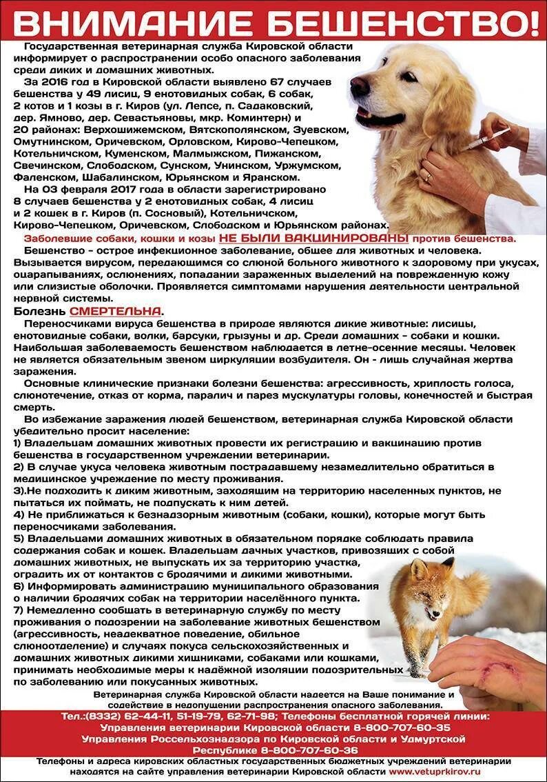 Какое заболевание через укус может распространять кошка