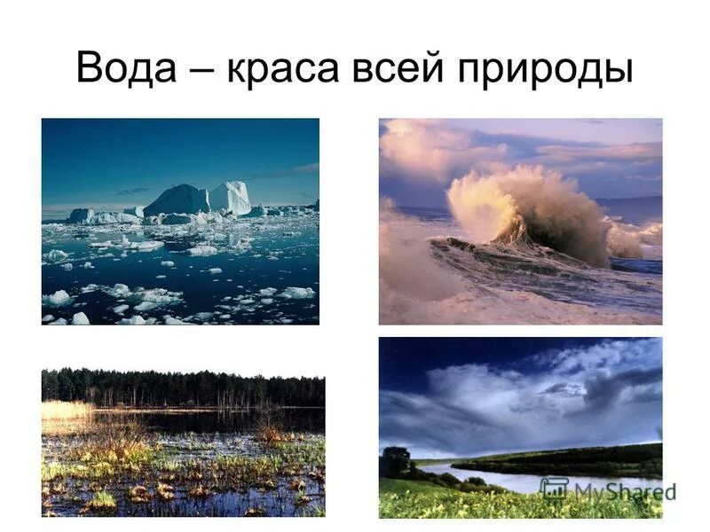 Водяная краса. Вода Краса всей природы. "Вода - Краса всей природы" книжная выставка.