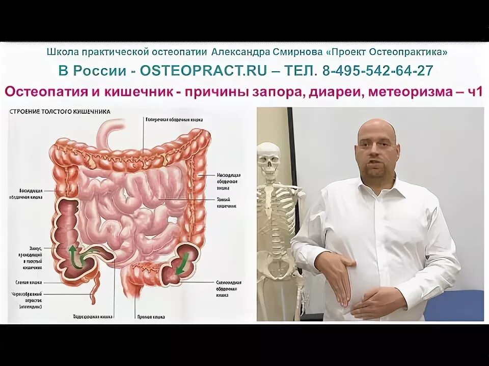 Массаж при запорах видео. Массаж при запорах видео