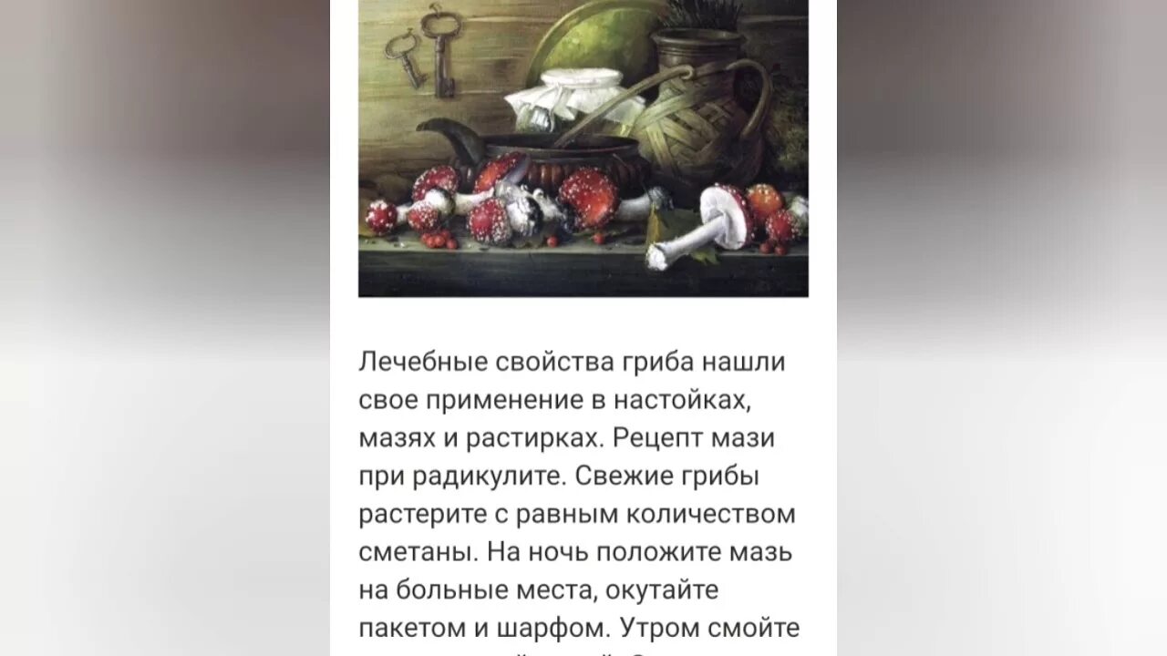 Лечение рака мухомором. Настойка мухомора. Лечение рака мухомором. Грибы от онкологии. Лечение рака мухомором.