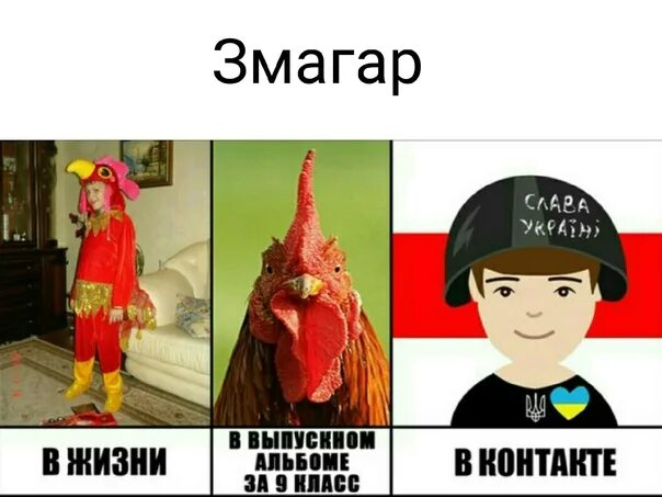 Змагары кто это. Змагар. Змагар ВК. Змагар петух. Змагары мемы.