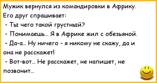 Анекдот командировку. Анекдоты про Африку. Мужик в командировке. Вернулся с командировки. Мужик вернулся из командировки в Африку.