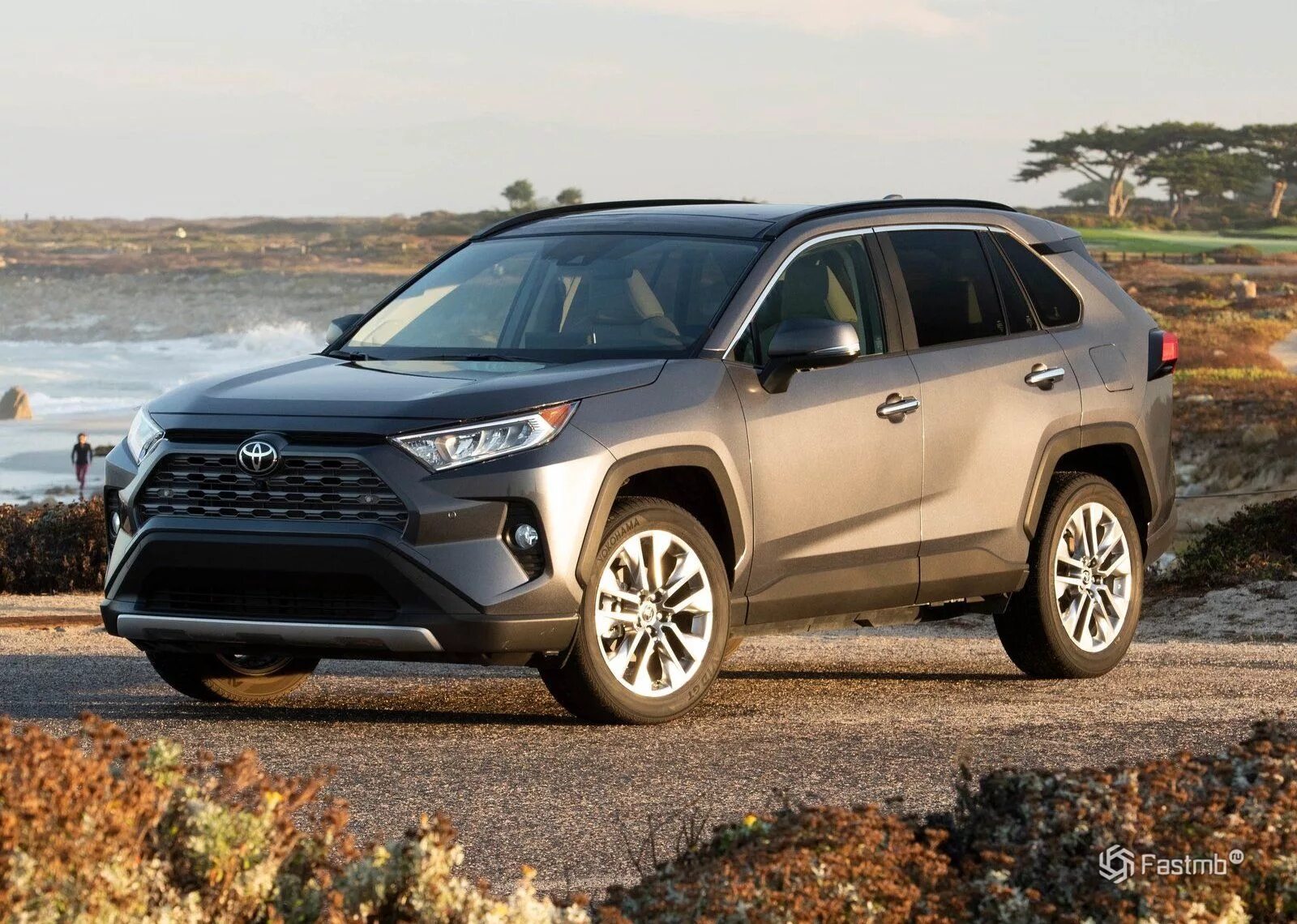 Рав новый кузов. Toyota rav4 2019. toyota rav4 2025. тойота рав 4 новая. тойота рав 4 2025.