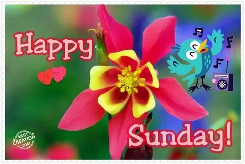 Sunday friends