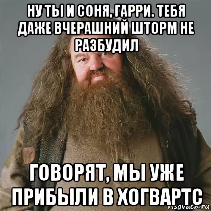 Даже вчера. Ну тебя даже вчерашний шторм не разбудил. соня тебя даже вчерашний шторм не разбудил. ye ns b cjyz? nt,z lf;t dxthfiybq injhv yt hfp,elbk. ну ты и соня тебя даже вчерашний.