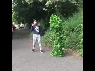 Куст пугать