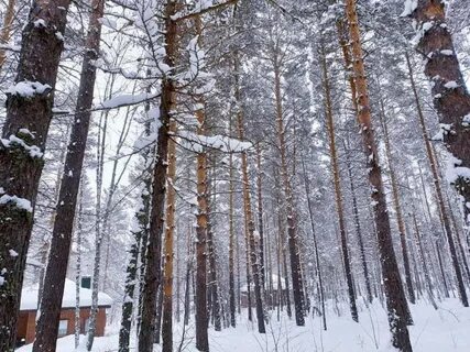 Лапландия абзаково сайт