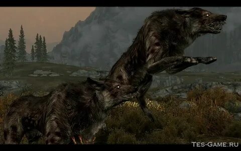 Skyrim creatures