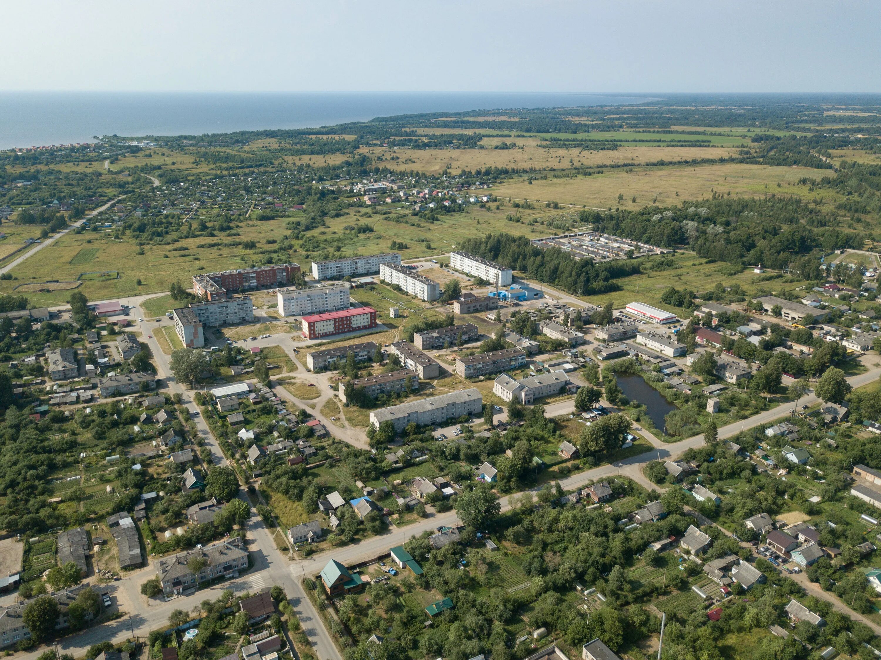 Гдов крепость. Псковская область город Гдов. Гдов сверху. Гдов с высоты. Погода гдов псковской области