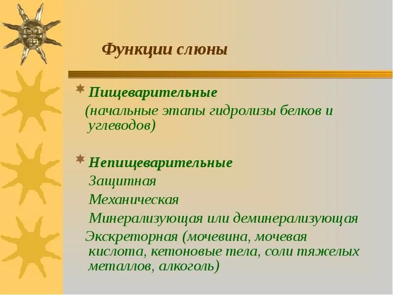 Функции слюны. Функции слюны
