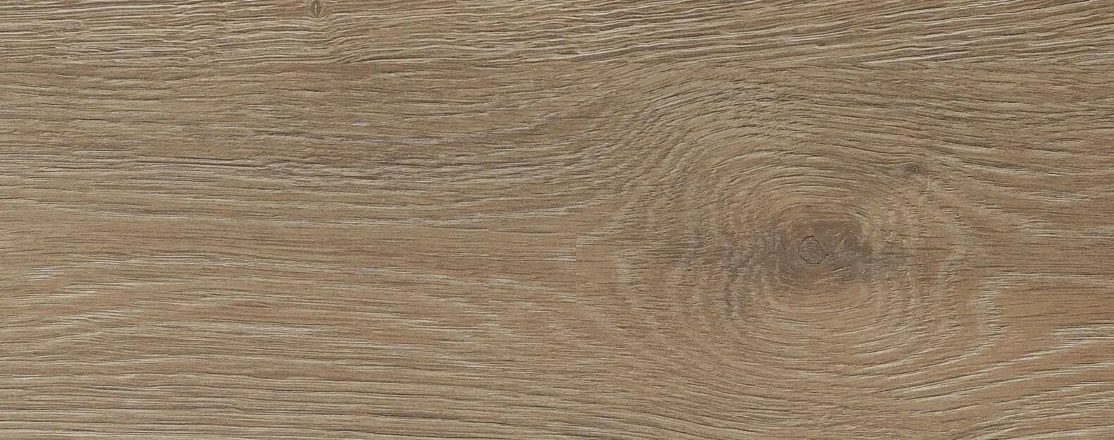 Illion spc ламинат. 2,156м2 33кл elegante. Дуб эльба. Ламинат дуб эльба. Kronotex amazone ламинат дуб эльба бежевый.
