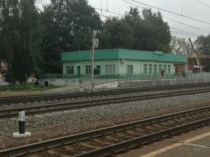 Фруктовая московская область