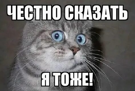Ну хорошо ты тоже