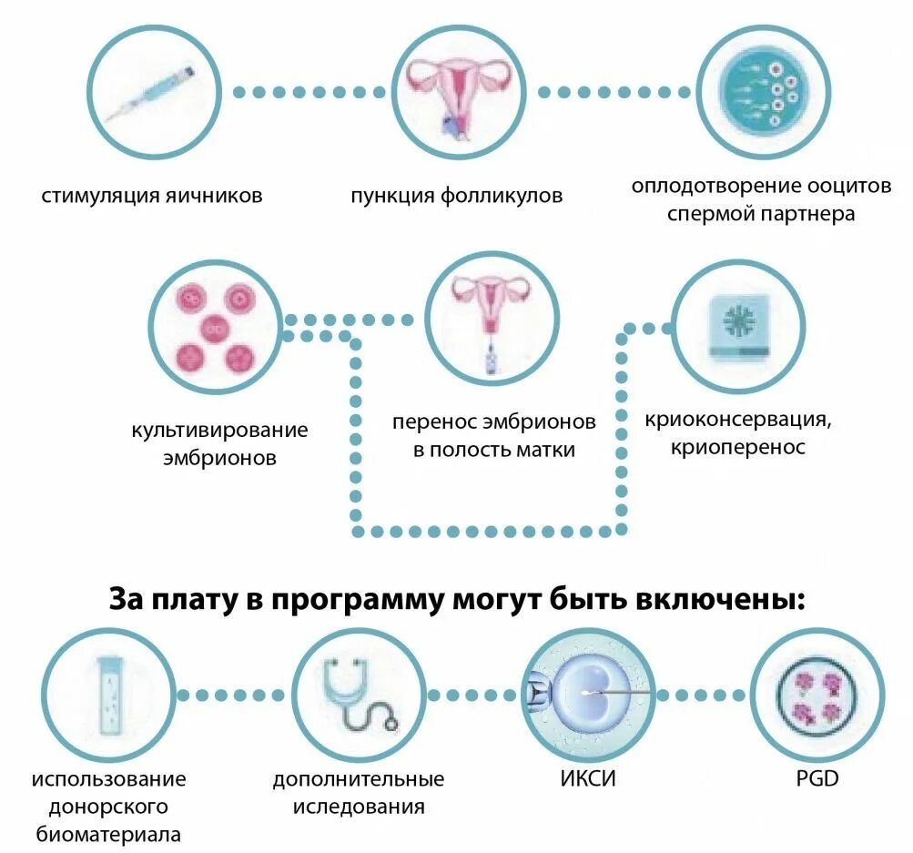 Когда можно делать эко после. Эко по ОМС этапы процедуры. Журнал эко/ИКСИ - ЦЕНТРМАГ. Схема экстракорпорального оплодотворения. Что входит в эко.