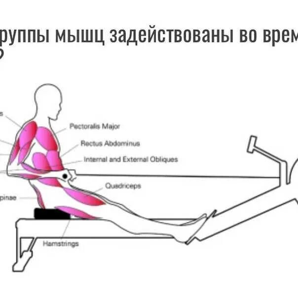 Тренажер гребля как правильно