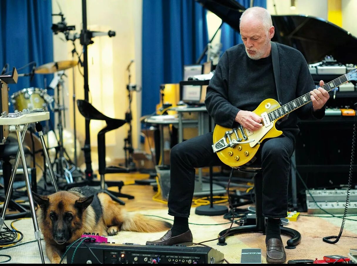 David lock. David gilmour. rattle that lock дэвид гилмор. дэвид гилмор 2015. david gilmour rattle that lock 2015.