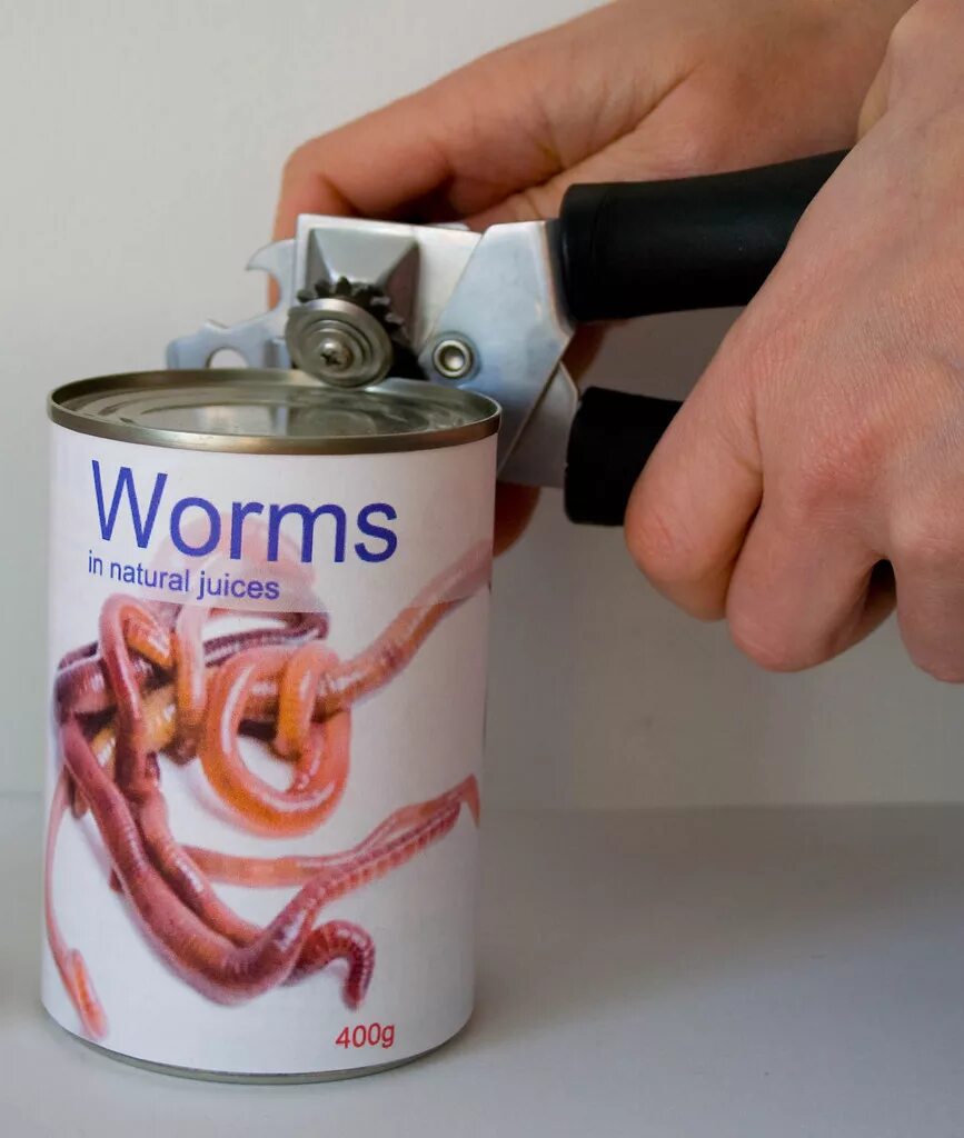 Can of warms. Open a can of worms. i opened up a can of worms. axel can of worms. accidentally just opened a can of worms.
