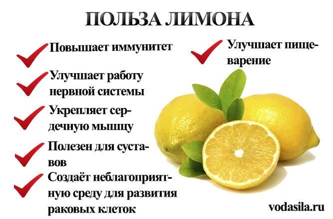 Польза лимона кратко. Чем полезен лимон. Полезные свойства лимона. Чем полезен лимон для организма. Польза кожуры лимонов