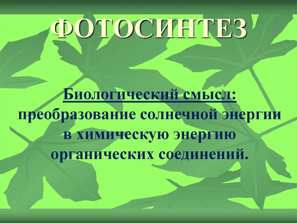 Как называется процесс воздушного питания растений. Воздушное питание растений фото. фотосинтез. воздушное питание фотосинтез. воздушное питание растений фотосинтез 6 класс.