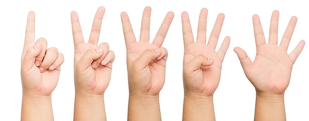 2 2 четыре пальца. Четыре пальца. Три пальца. Показывает три пальца. Счет на пальцах.