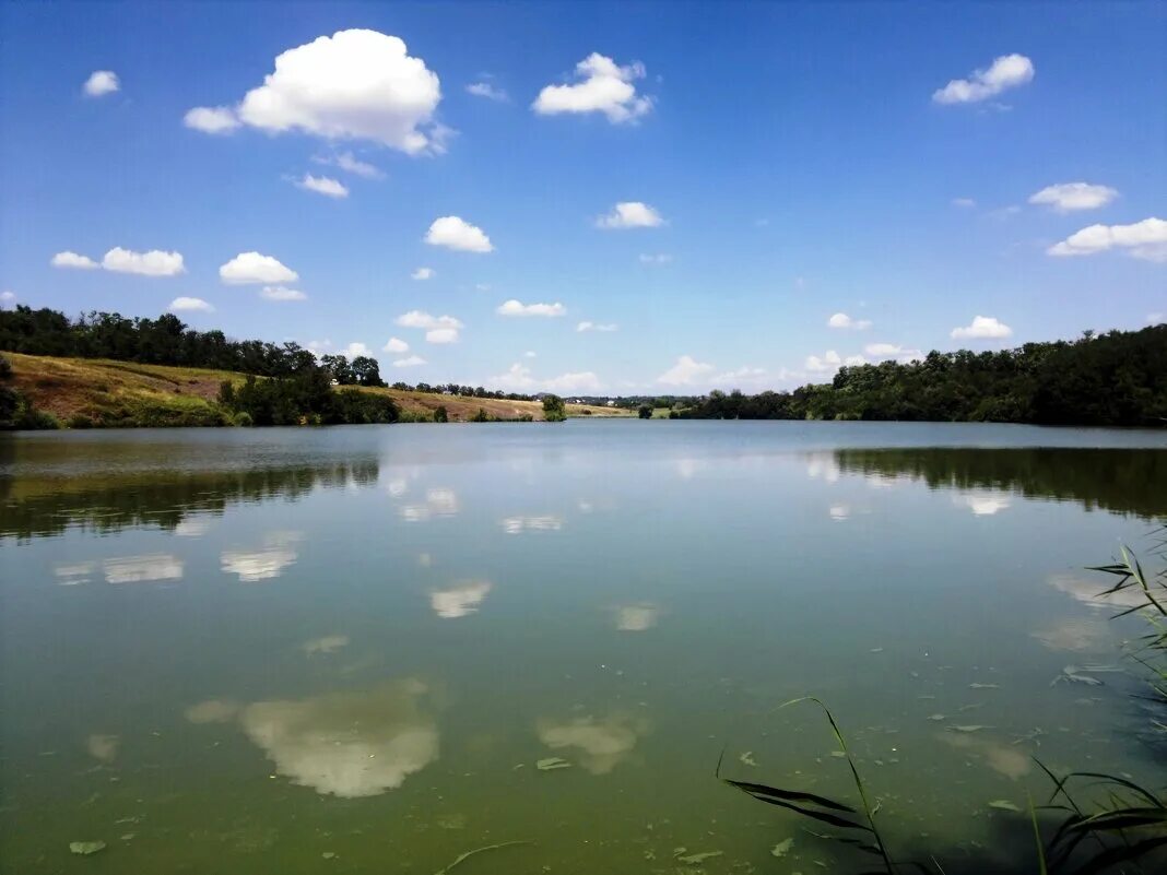 река тузлов несветай. речка жемчужина новошахтинск.