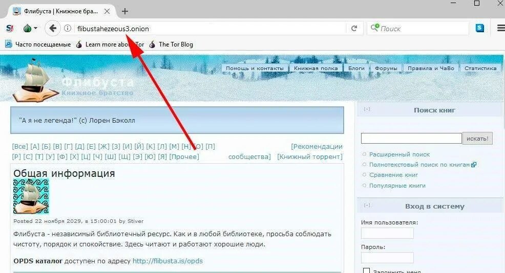 Флибуста. Что такое флюбус. Флибуста книжное братство. Флибуста книжное братство альтернативный. Флибуста книги зеркало