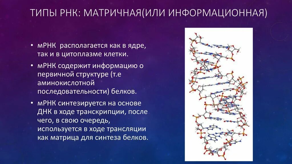 Информационная или матричная РНК. Рибонуклеиновая кислота. Виды РНК матричная. Образование информационной РНК по матрице ДНК.