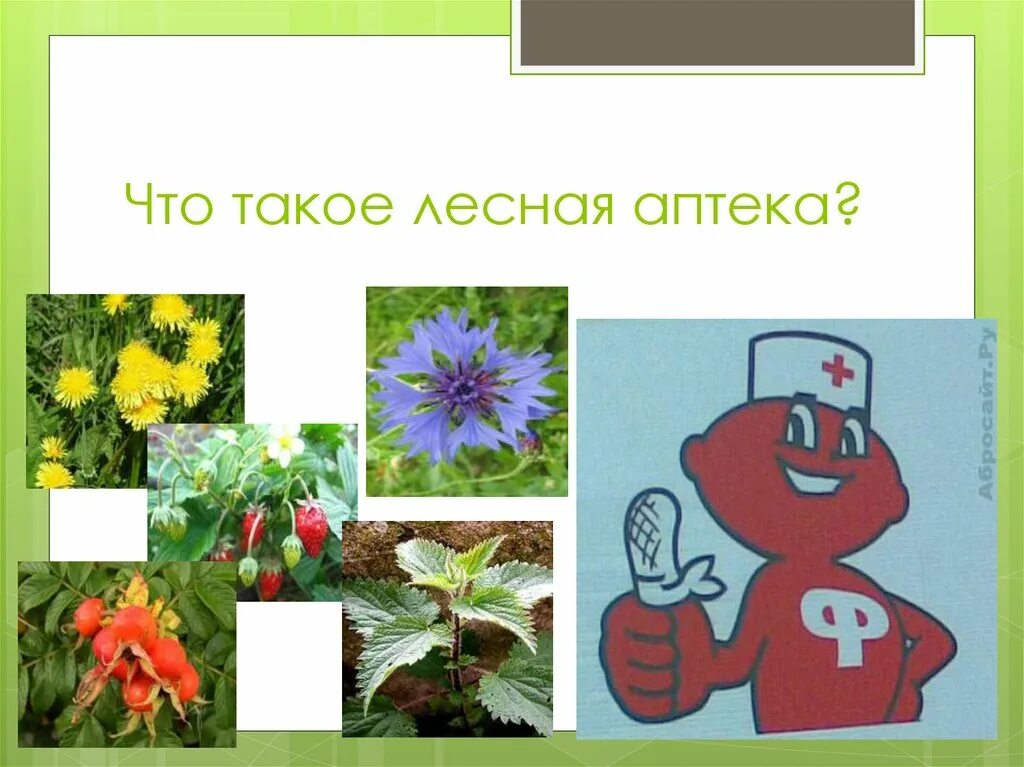 Лесная аптека презентация. Вывеска лесная аптека. Лесная аптека презентация. Лес аптека для человека. Лесная аптека сказка.