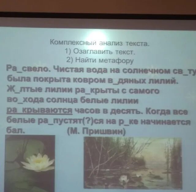 Как найти метафору в тексте. Найдите в тексте метафору. найти метафоры в тексте. небольшие тексты с метафорами. найти метафоры в тексте онлайн.
