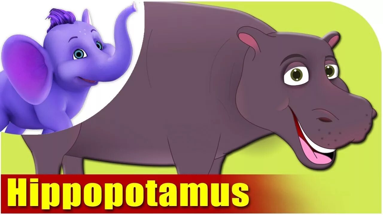 Умачка Hippopotamus. Hippo Song. Hippopotamus Song. 4 Hippopotamus.