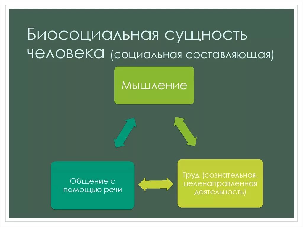 Что составляет основу человека. Биосоциальная сущность человека. Биосоциальная сущностб чел. Билсоциальны сущность человека. Биологическая и социальная сущность человека.