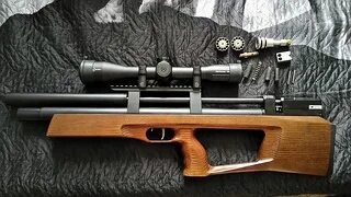 Тайпан 3 ий январь