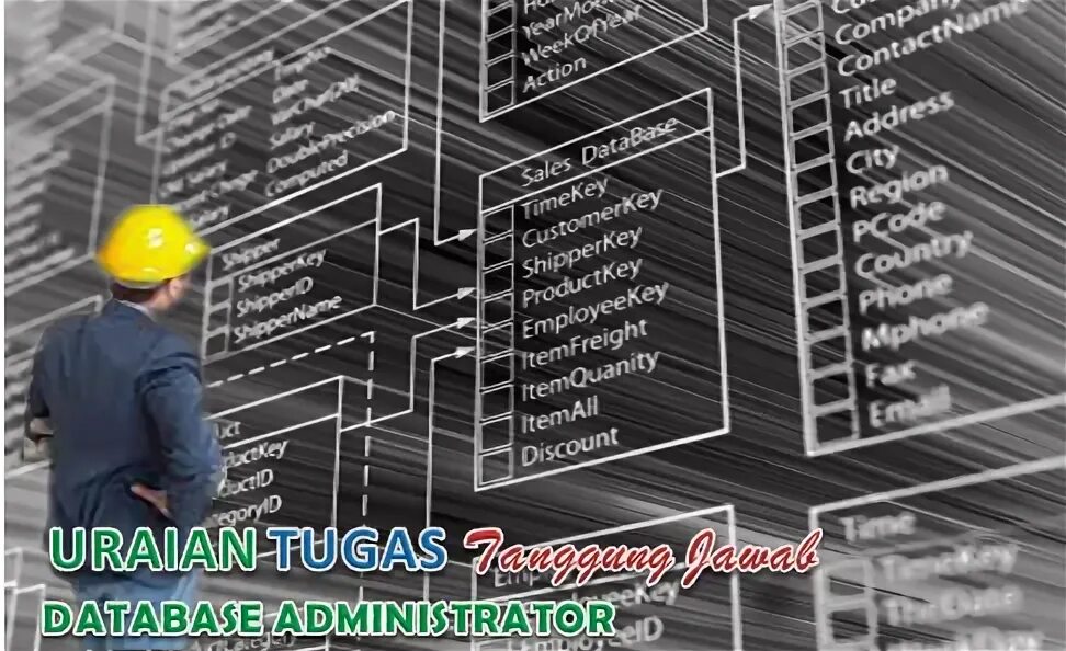 Admin database. Admin database