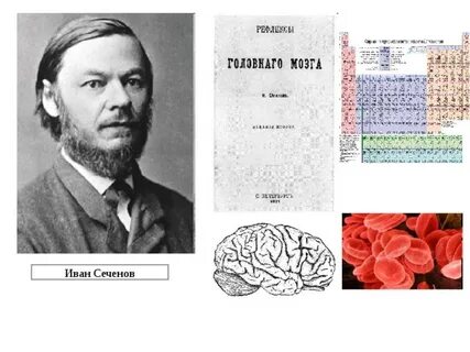 Сеченов медицина
