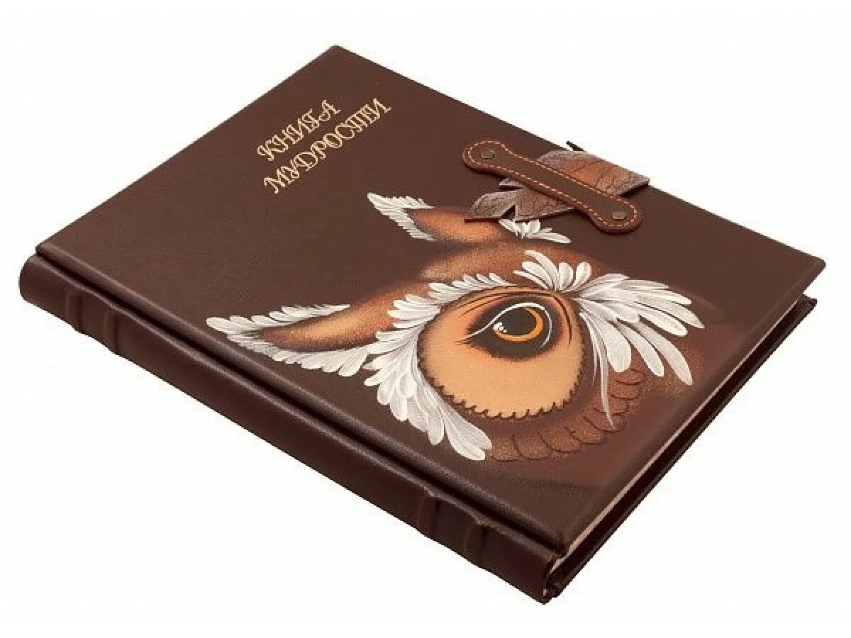 книжные мудрости. большая книга восточной мудрости. книга мудрости книга. книжные мудрости. умные книги.