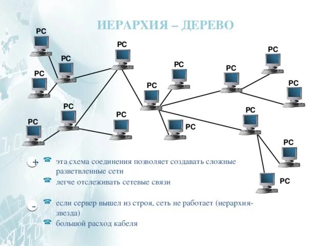 Разветвленная сеть каналов и полостей. Разветвленная сеть. агентурная сеть. двойная радиальная сеть. программа для создания разветвленных сетей.