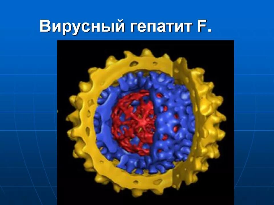 Строение вируса гепатита Дельта. Вирус гепатита g строение. Строение вируса гепатита в. Вирусный гепатит ф микробиология.