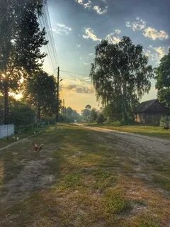 5 утра в деревне