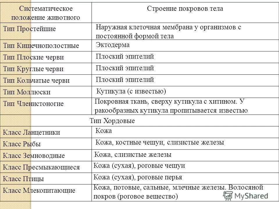 Контрольная работа по биологии покровы тела