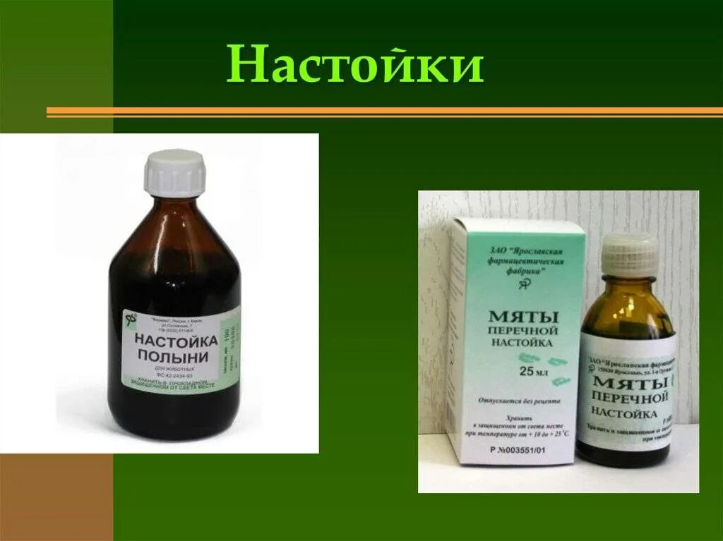 Отвар полыни от чего помогает. Настойка полыни. экстракт полыни. настой полынь. настой перечной мяты.