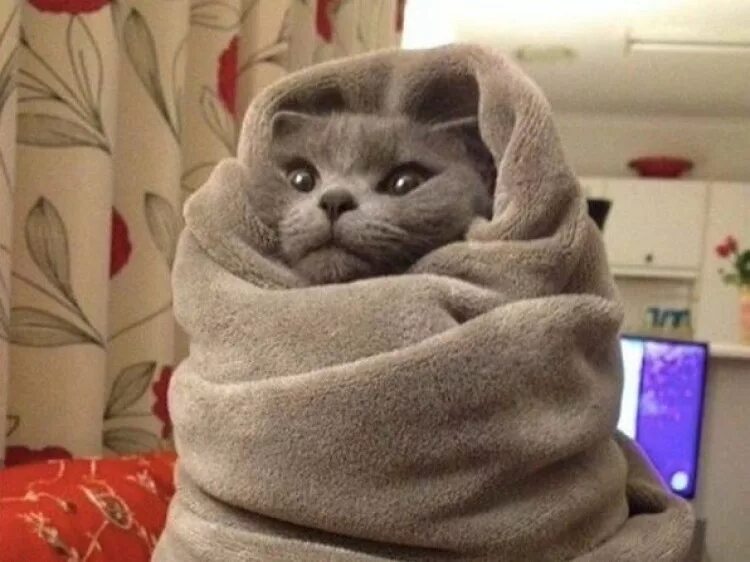 холодно на улице. сильный мороз прикольные. очень холодно. холодно холодно но ничего картинки. стало холодно.