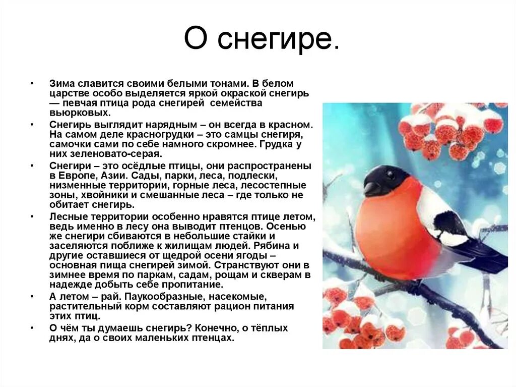 Развитие снегиря