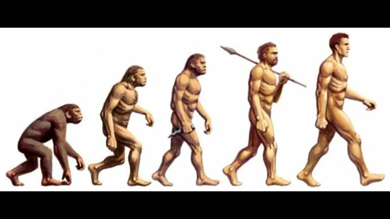 Эволюция лет назад. Хомо сапиенс эволюция. человек разумный homo sapiens sapiens. эволюция дарвин хомо сапиенс. эволюция человека от обезьяны до человека хомо сапиенс.